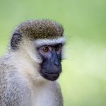 同房108种 f0dxwt4k9v